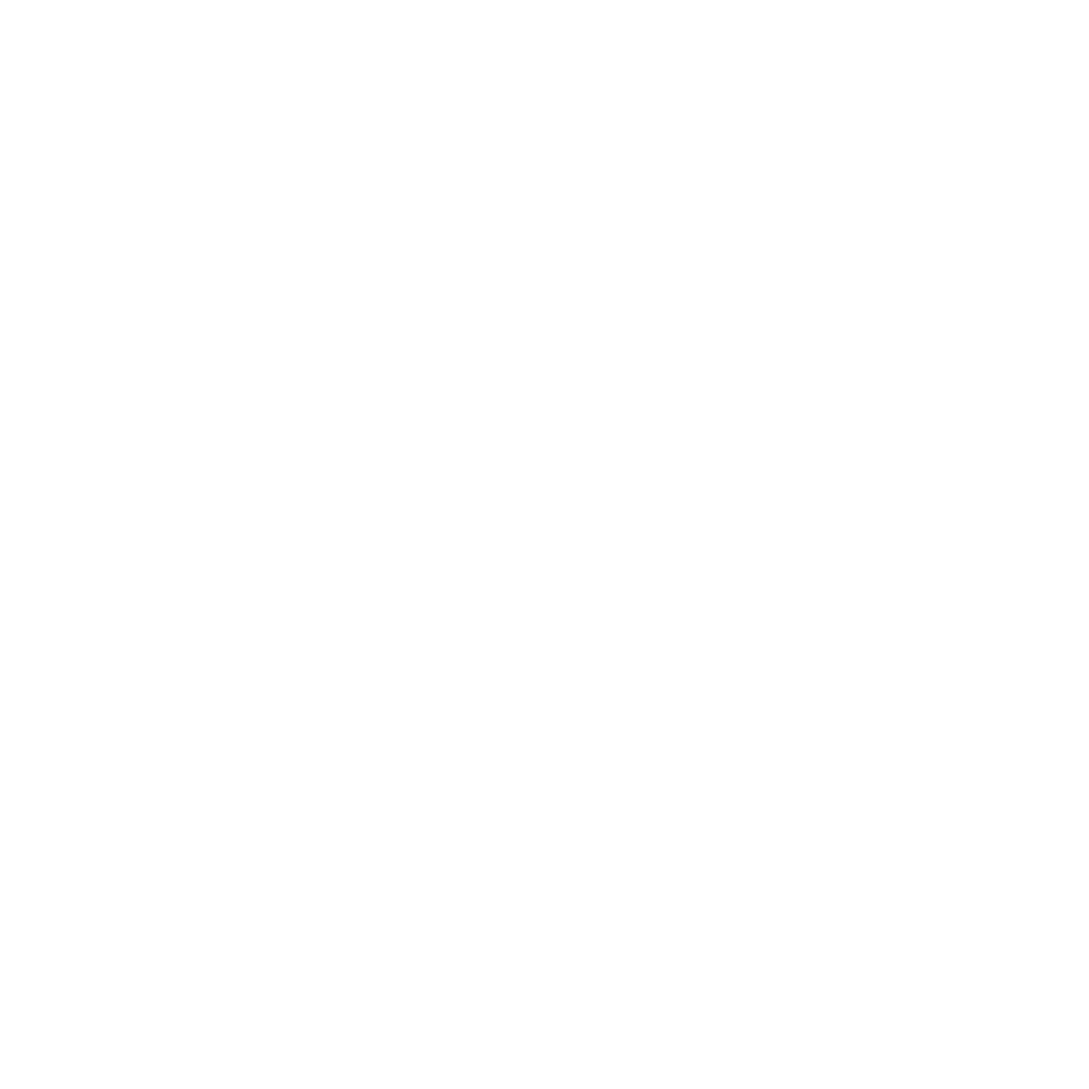 VINDEX